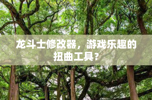 龙斗士修改器，游戏乐趣的扭曲工具？