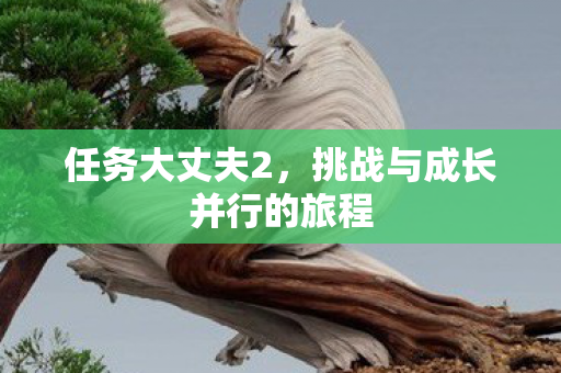 任务大丈夫2，挑战与成长并行的旅程