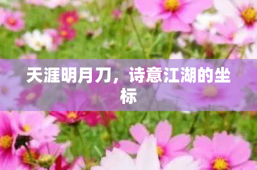 天涯明月刀，诗意江湖的坐标