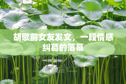 胡歌前女友发文，一段情感纠葛的落幕