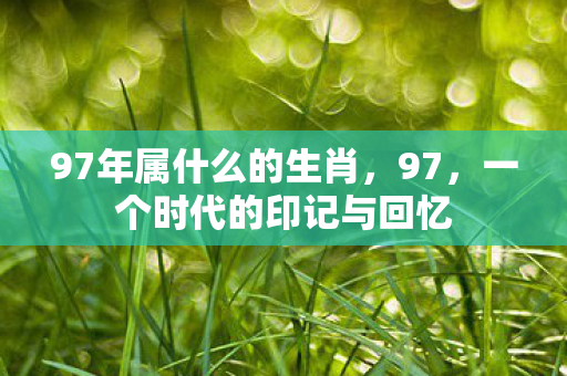 一个时代的印记与回忆图片