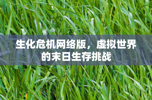 生化危机网络版，虚拟世界的末日生存挑战