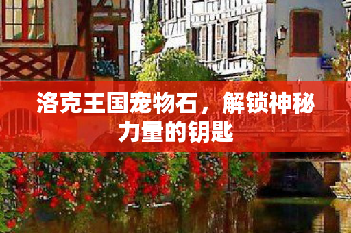 洛克王国宠物石，解锁神秘力量的钥匙