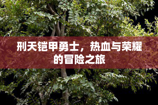 热血与荣耀的冒险之旅图片