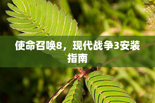 使命召唤8，现代战争3安装指南