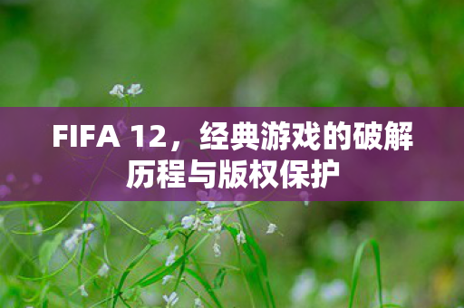 FIFA 12，经典游戏的破解历程与版权保护