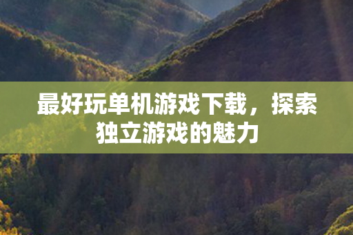 最好玩单机游戏下载，探索独立游戏的魅力