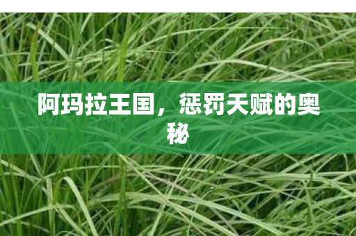 阿玛拉王国，惩罚天赋的奥秘