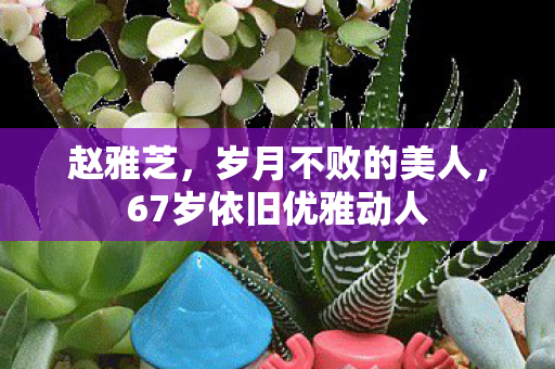 赵雅芝，岁月不败的美人，67岁依旧优雅动人