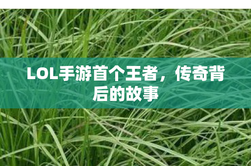 LOL手游首个王者，传奇背后的故事