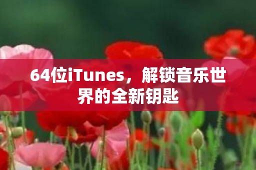 64位iTunes，解锁音乐世界的全新钥匙