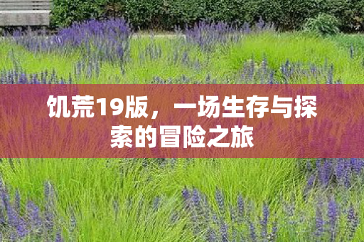 饥荒19版，一场生存与探索的冒险之旅