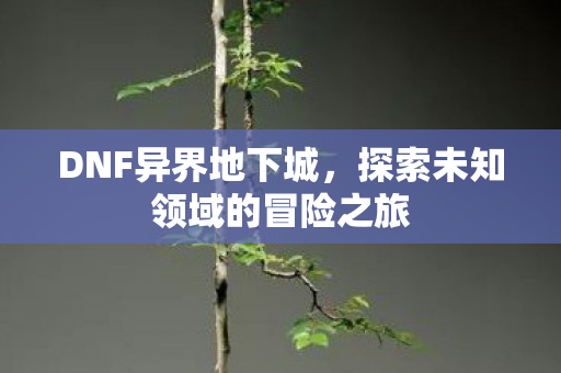 DNF异界地下城，探索未知领域的冒险之旅