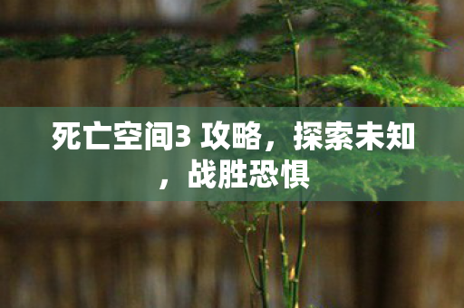 死亡空间3 攻略，探索未知，战胜恐惧