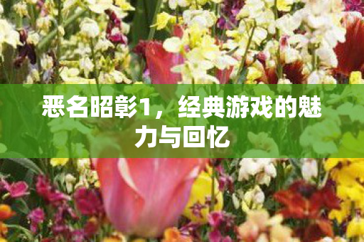 恶名昭彰1，经典游戏的魅力与回忆