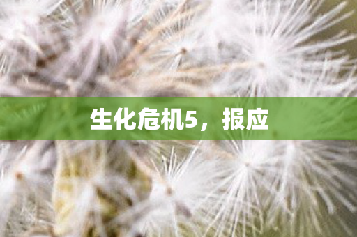 生化危机5，报应