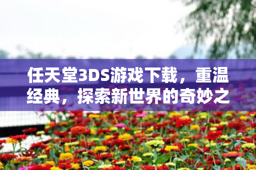 任天堂3DS游戏下载，重温经典，探索新世界的奇妙之旅