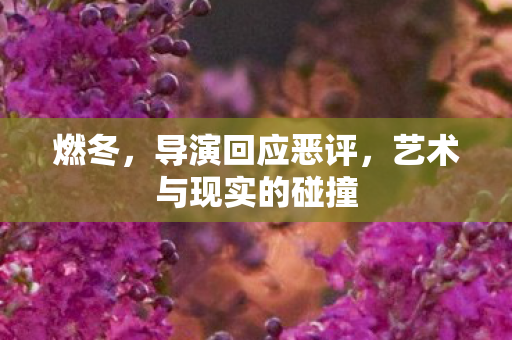 燃冬，导演回应恶评，艺术与现实的碰撞