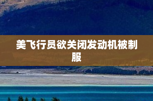 美飞行员欲关闭发动机被制服