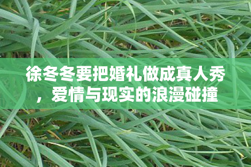 徐冬冬要把婚礼做成真人秀，爱情与现实的浪漫碰撞