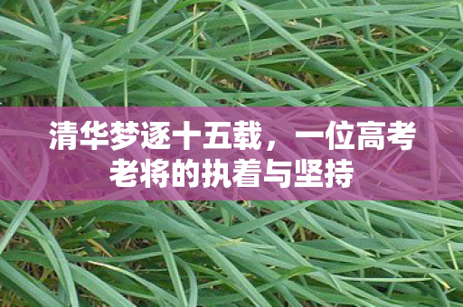 清华梦逐十五载，一位高考老将的执着与坚持