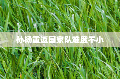 孙杨重返国家队难度不小