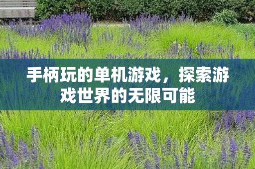 手柄玩的单机游戏，探索游戏世界的无限可能