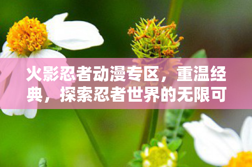 火影忍者动漫专区，重温经典，探索忍者世界的无限可能