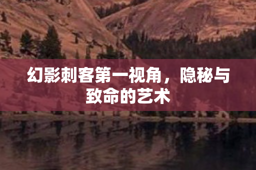 幻影刺客第一视角，隐秘与致命的艺术