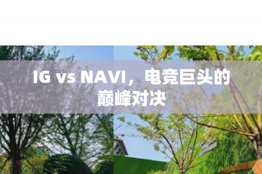 IG vs NAVI，电竞巨头的巅峰对决