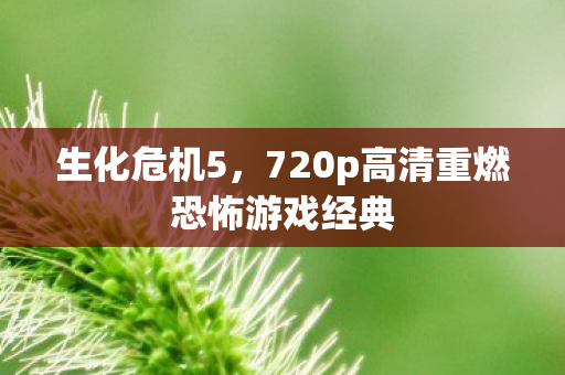 生化危机5，720p高清重燃恐怖游戏经典