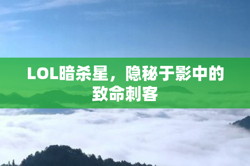 隐秘于影中的致命刺客图片