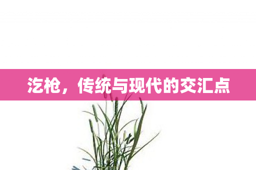 汔枪，传统与现代的交汇点