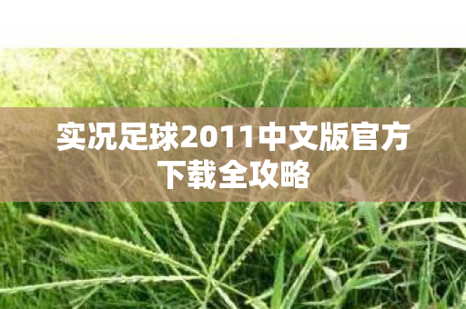 实况足球2011中文版官方下载全攻略
