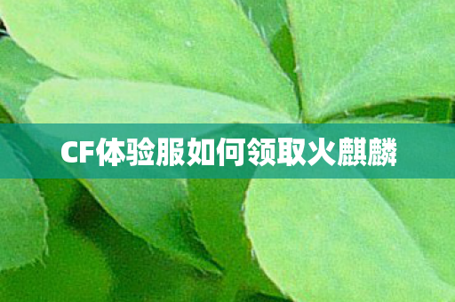 CF体验服如何领取火麒麟