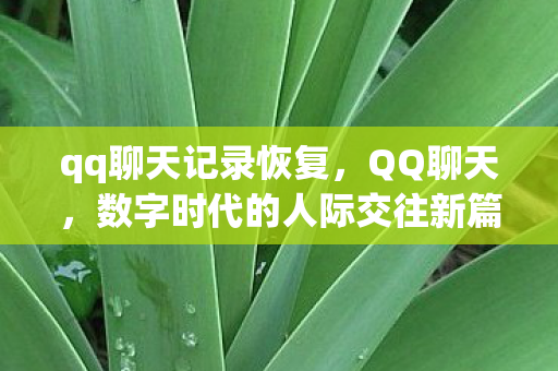 数字时代的人际交往新篇章图片