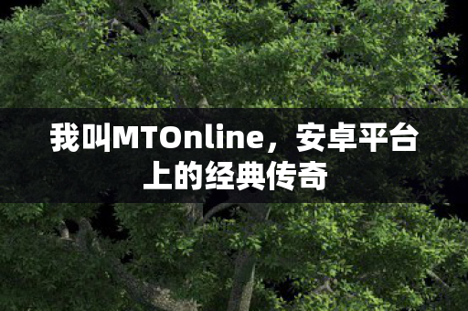 我叫MTOnline，安卓平台上的经典传奇