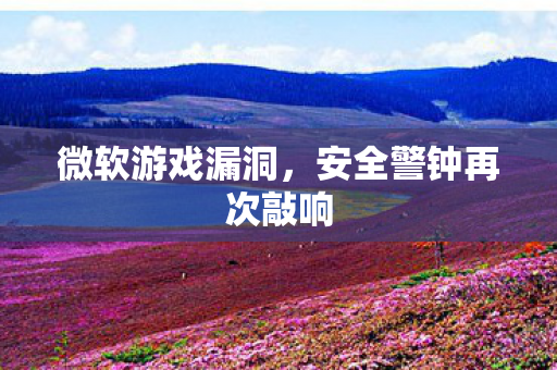 微软游戏漏洞，安全警钟再次敲响