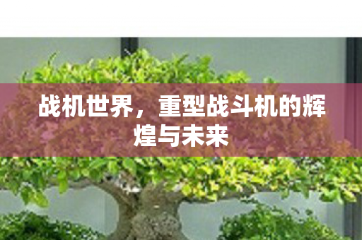 重型战斗机的辉煌与未来图片