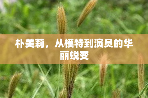 朴美莉，从模特到演员的华丽蜕变