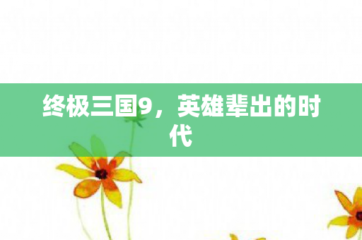 终极三国9，英雄辈出的时代