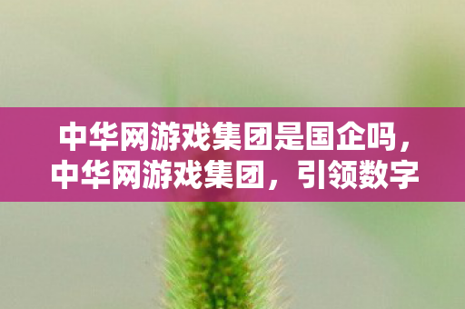 中华网游戏集团是国企吗,中华网游戏集团,引领数字娱乐新风尚 中华网游戏集团是国企吗,中华网游戏集团,引领数字娱乐新风尚