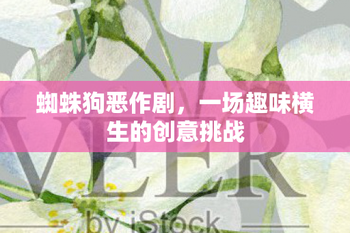 一场趣味横生的创意挑战图片
