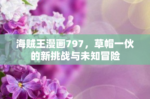 草帽一伙的新挑战与未知冒险图片