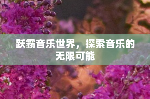 跃霸音乐世界，探索音乐的无限可能