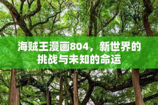 海贼王漫画804，新世界的挑战与未知的命运