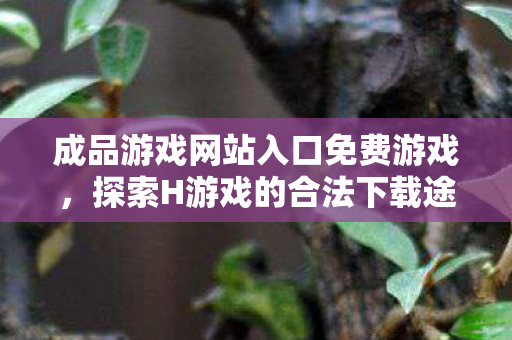 成品游戏网站入口免费游戏，探索H游戏的合法下载途径，尊重版权，享受正版游戏的乐趣