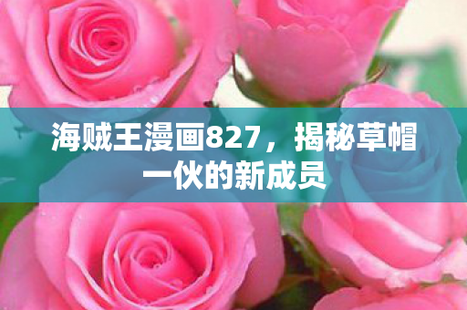 海贼王漫画827，揭秘草帽一伙的新成员