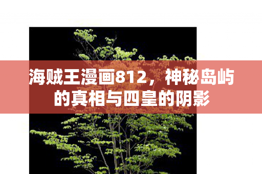 海贼王漫画812，神秘岛屿的真相与四皇的阴影