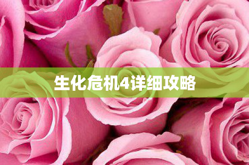 生化危机4详细攻略